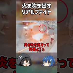 【１分解説】火が飛び交うリアルストリートファイト事件を1分解説【ゆっくり解説】#shorts #ゆっくりしていない解説
