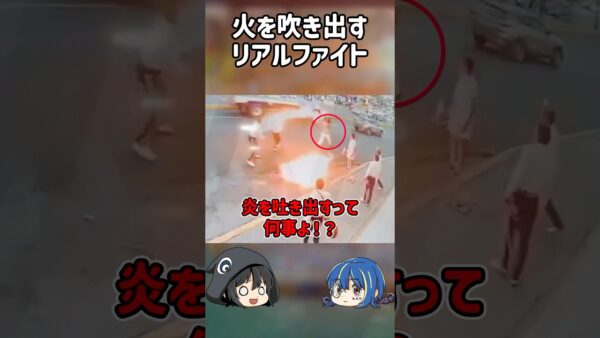 【１分解説】火が飛び交うリアルストリートファイト事件を1分解説【ゆっくり解説】#shorts #ゆっくりしていない解説