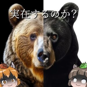 【ヒグマ×ツキノワグマ】秋田の山に最凶のクマが誕生している可能性…？｜警察2名が襲われた本当の裏側とは