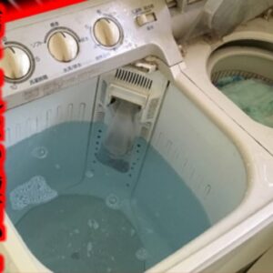 【2017年】「ちょっと買い物に行ってくるわね」消えた双子児童 捜索の末、『まさかの場所』で変わり果てた姿となって発見される たった5分の間に何があった？【ゆっくり解説】