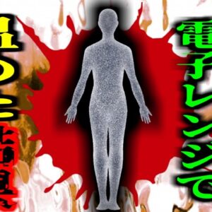 【2017年】テレビCMの真似？「子供乾かすの面倒だな…そうだ」→わが子を電子レンジで乾かそうとしたカップル逮捕 保釈金は500,000ドル（約5700万円）【ゆっくり解説】