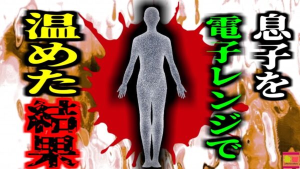 【2017年】テレビCMの真似？「子供乾かすの面倒だな…そうだ」→わが子を電子レンジで乾かそうとしたカップル逮捕 保釈金は500,000ドル（約5700万円）【ゆっくり解説】