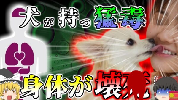 【2018年】実は猛毒！？愛犬の唾液で両足と鼻が溶け、切除せざるを得なくなった医師 危険な動物の唾液やツメ【ゆっくり解説】