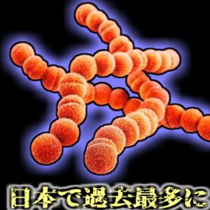 日本で過去最多 