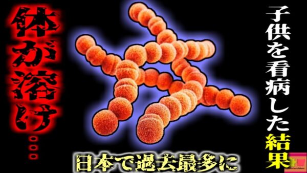 日本で過去最多 