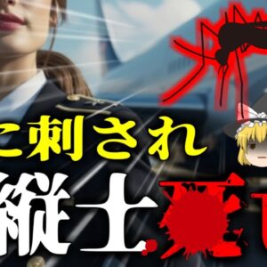 【2021年】「最も人の命を奪った虫」蚊に刺されたことが原因で命を落とした女性 数ミリの小さな虫が持つ恐ろしい猛毒【ゆっくり解説