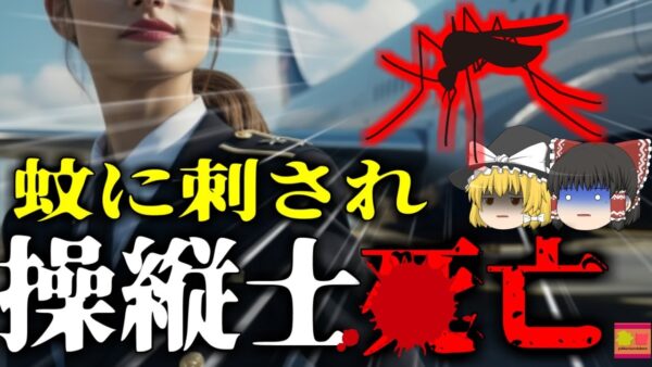 【2021年】「最も人の命を奪った虫」蚊に刺されたことが原因で命を落とした女性 数ミリの小さな虫が持つ恐ろしい猛毒【ゆっくり解説