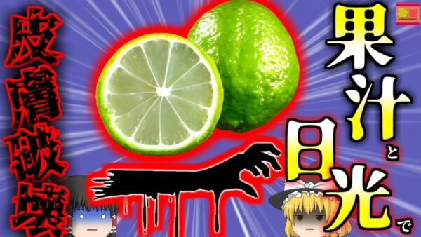 【2021年】バカンス中にカクテルを楽しんでいた女性 中に含まれる成分+日光で足に酷い熱傷 扱い方を間違えるとDNAが破壊される実は危険もある「あのフルーツ」【ゆっくり解説】