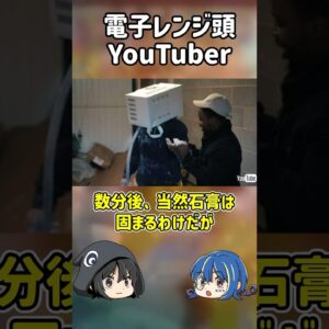 【１分解説】迷惑すぎる電子レンジ頭YouTuber【ゆっくり解説】#shorts #ゆっくりしていない解説
