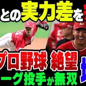 【ゆっくり解説】韓国プロ野球、日本の独立リーグの党首に無得点を晒して恥をかいてしまう