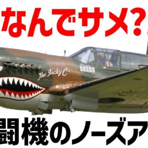 【兵器解説】なんで戦闘機にサメを描くの？サメの歴史を辿る。ノーズアートについて