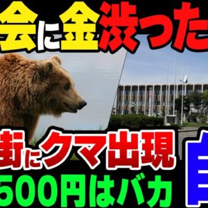 【ゆっくり解説】猟友会に金を渋った北海道奈井江町、ついに住宅の近くにクマが出てしまう