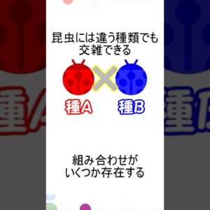 昆虫にも雑種っているの？