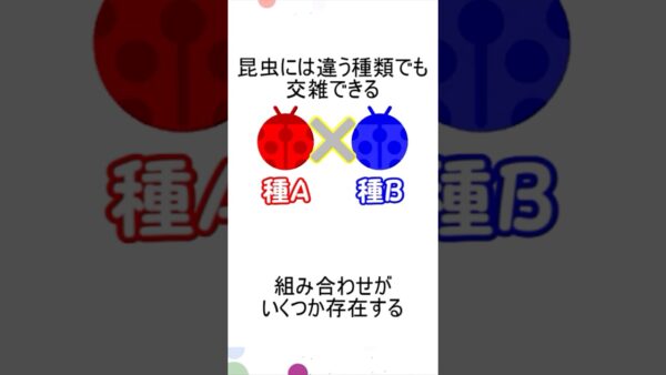 昆虫にも雑種っているの？