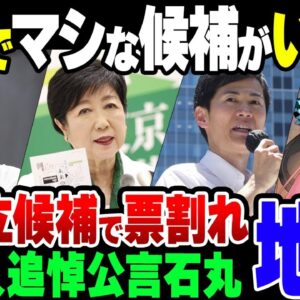 【ゆっくり解説】蓮舫当選の危機　完全に政治家としてアウトな石丸に暇空茜の謎出馬で大荒れに荒れると東京都知事選