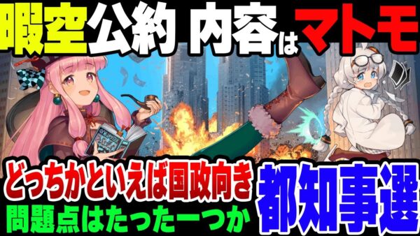【ゆっくり解説】暇空茜の東京都知事選選挙公約、かなりマトモな部類の模様。ただ都知事よりは国会議員向きか？