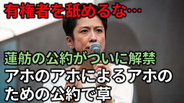 【ゆっくり解説】蓮舫の公約が史上最低レベルのクオリティなので解説してみる