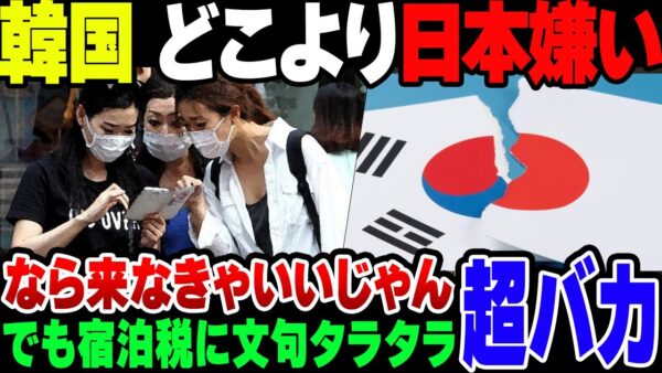 【ゆっくり解説】宿泊税にガタガタいう韓国人、主要国で一番日本が嫌いな模様