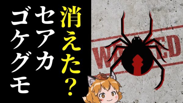 【あの生き物は今】セアカゴケグモはどこに消えたのか？