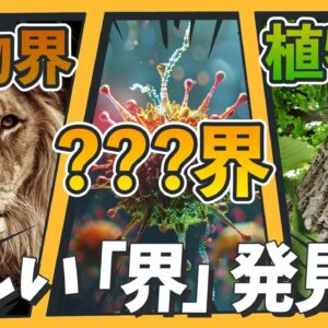 【大発見】生物の新たな「界」が発見されました→それホント？ほか2本【生き物ニュース】