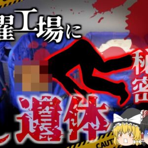 【2001年】クリーニング工場で発見 油圧式脱水プレス機にもたれかかっていた男性 頭部が完全に粉砕され断首状態 1ｔ以上の力で頭を潰された彼は何故そんな所に？【ゆっくり解説】