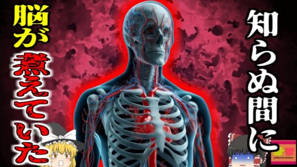 【2009年】『気が付いたら脳が煮えていた』 意味不明な言葉を発し、突然嘔吐痙攣し始めた男性 直後に〇亡する 身近だが脳がダメージを受けると二度と元に戻らない不治の病に…【ゆっくり解説】