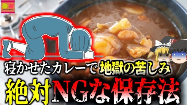 【2009年】一晩寝かせたカレーで命の危機 意外と見落としがちな身近な危険 調理済み、かつ摂氏100℃で加熱しても無駄な恐ろしい菌「給食病」【ゆっくり解説】