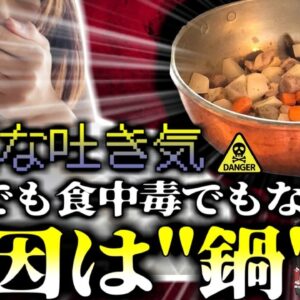 【2019年】悪阻だと思っていた猛烈な吐き気…実は全く関係ない別の意外な原因が…調理器具に潜む危険 使用・保管方法を間違えると命の危機も『銅食中毒』【ゆっくり解説】
