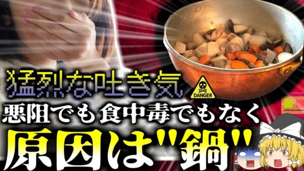 【2019年】悪阻だと思っていた猛烈な吐き気…実は全く関係ない別の意外な原因が…調理器具に潜む危険 使用・保管方法を間違えると命の危機も『銅食中毒』【ゆっくり解説】