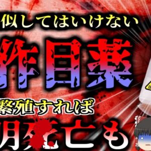 【2023年】市販の不衛生な目薬で4人が〇亡 雑菌入り目薬で失明や命の危険も…防腐剤なしの汚染されやすい目薬…SNSでもひそかに広まる「手作り目薬」にも重大なリスク【ゆっくり解説】