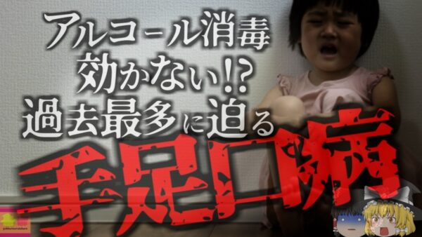 【2024年】「特異的な治療法無し」「アルコール消毒も効かない」夏に流行する『手足口病』 重症化で髄膜炎・脳炎も 過去10年で最多の感染数に迫る 防ぐためにはどうすれば？【ゆっくり解説】