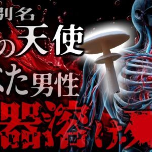 【2024年】『46年ぶりの事例』仕事帰りに採ったキノコを食べた男性 実は猛毒のキノコで肝臓が破壊され〇亡 長野県が有毒きのこ食中毒注意報を発令する事態に 【ゆっくり解説】