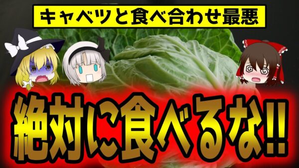 絶対に一緒に食べないで ！ キャベツと食べると滋養強壮剤になる食品4選【ゆっくり解説】