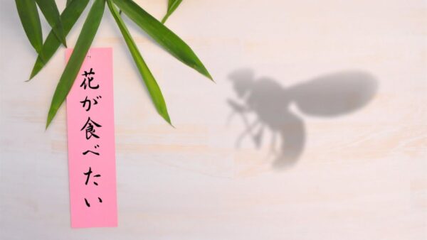 【ゆっくり解説】#44 竹の花が120年に一度咲く理由「昆虫」だった！？