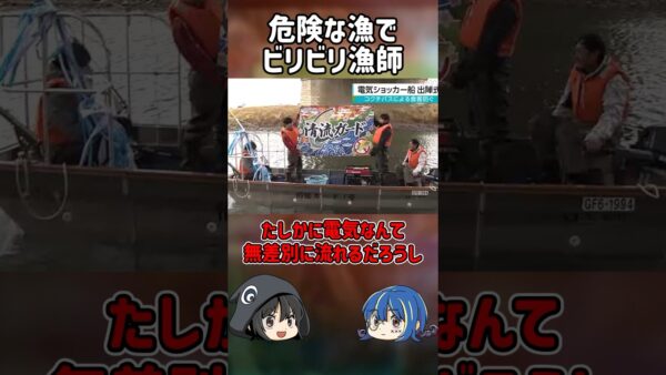 【１分解説】危険すぎる漁法で○亡【ゆっくり解説】#shorts #ゆっくりしていない解説