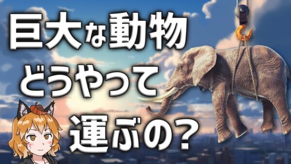 【シビア】巨大な動物の運搬、どれだけ大変か知っていますか？