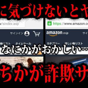 【ゆっくり解説】見分けられないとヤバい。詐欺サイトの特徴