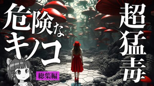 【総集編】絶対触るな！超危険でヤバい毒キノコ・症状・迷信まとめ