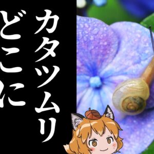 【疑問】カタツムリはなぜ日本から姿を消したのか？