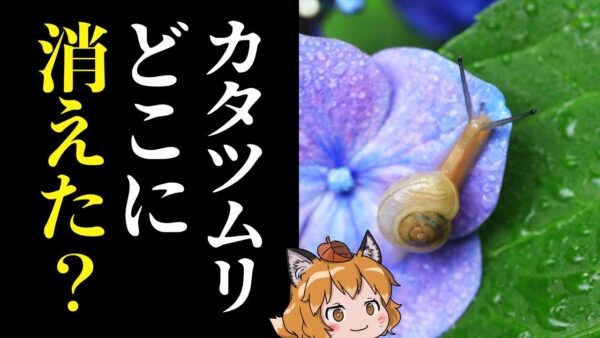 【疑問】カタツムリはなぜ日本から姿を消したのか？
