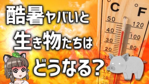 【酷暑】暑すぎると生き物たちはどうなるのか？