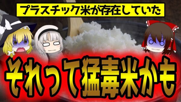 【衝撃】プラスチック米が存在してた！？もはや米ではない！【ゆっくり解説】