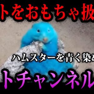 【ゆっくり解説】ペットをおもちゃ扱い…ヤバすぎるペットチャンネルの闇