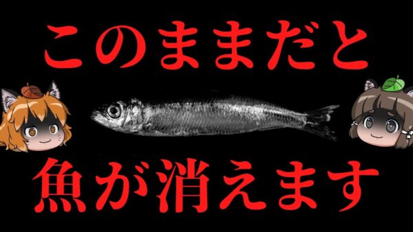 【緊急】日本の食卓からガチで魚が消えるかもしれません