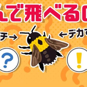 <span class="title">【疑問】理論上飛べない生物…クマバチはなぜ飛べるのか？</span>