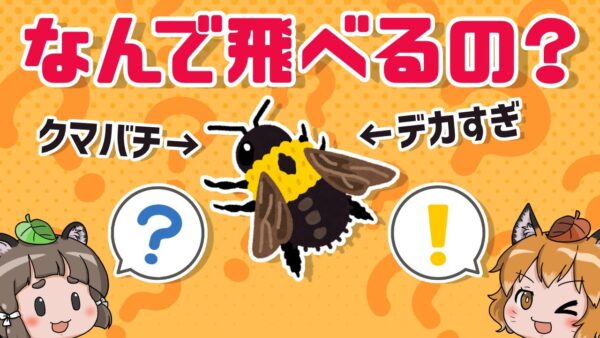 【疑問】理論上飛べない生物…クマバチはなぜ飛べるのか？