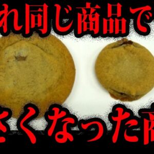 【ゆっくり解説】10年で変わり果てた姿に…小さくなってしまった商品５選