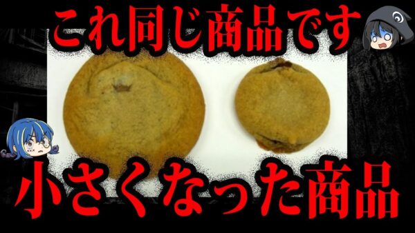 【ゆっくり解説】10年で変わり果てた姿に…小さくなってしまった商品５選