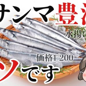 【豊漁？】サンマの水揚げ量140倍…この数字には裏があります