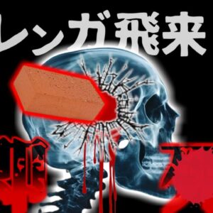 【2012年】『信じられない不運』長距離旅行中に突然飛来した一つのレンガ 凄まじい速度でフロントガラスを突き破り女性の頭部に直撃 車内は悲痛な悲鳴に包まれ…ロシアレンガ直撃事故【ゆっくり解説】